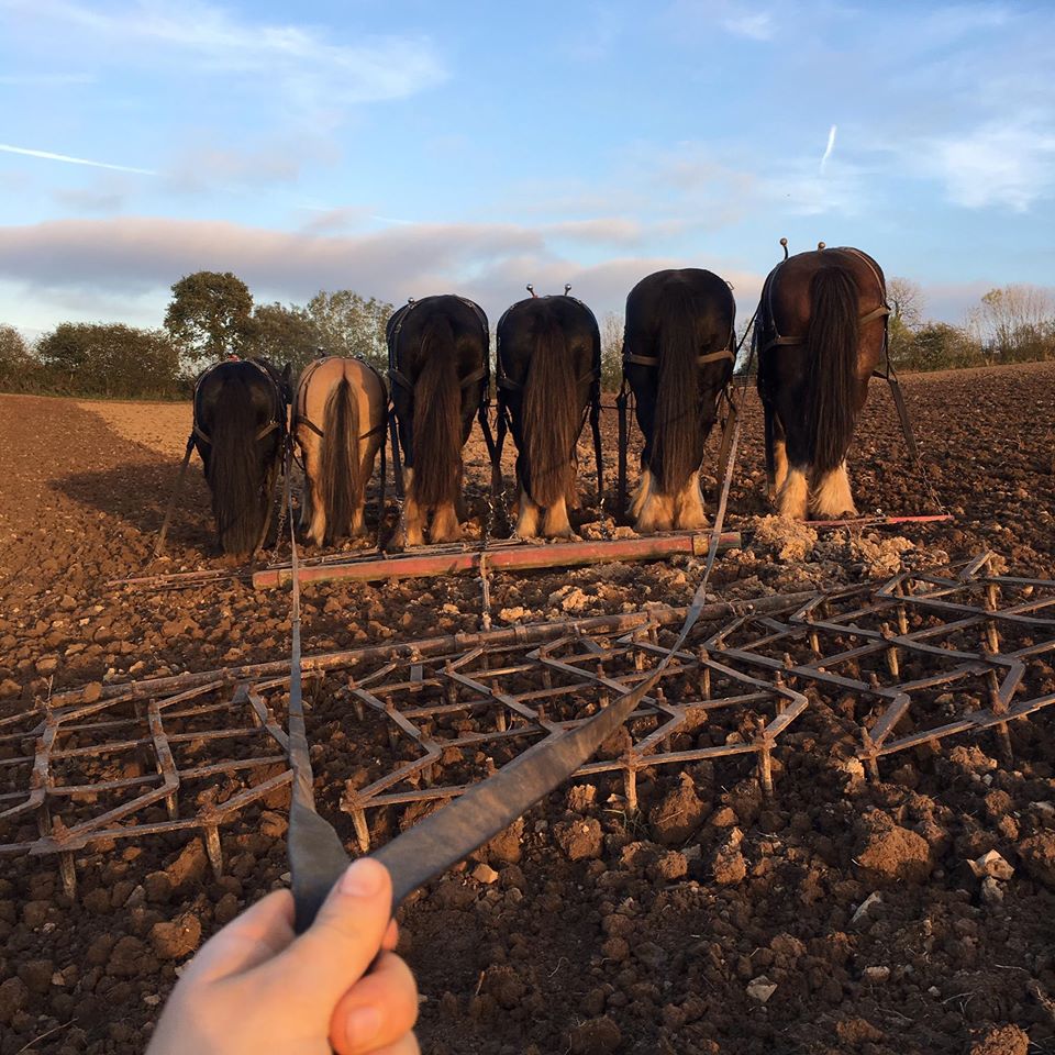 Enjoy and amazing driving course at Higher Biddacott Farm.