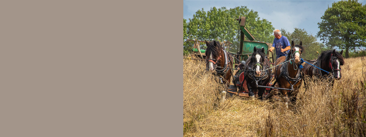 Experience a high-quality driving course at Higher Biddacott Farm.