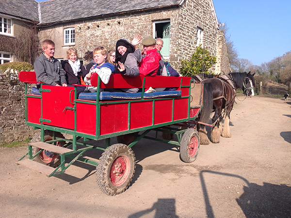 Enjoy a family wagon ride at higher Biddacott Farm.