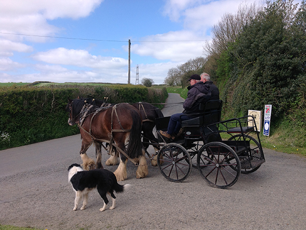 Enjoy a driving course at Higher Biddacott Farm. 