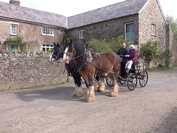 At Higher Biddacott Farm you are in safe hands to start your driving course journey. 