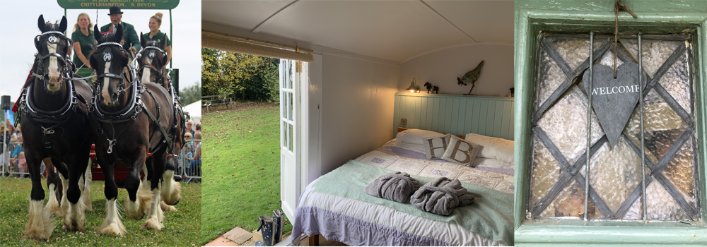 Higher Biddacott Farm is a working farm that trains horses and provides an excellent bed and breakfast holiday accommodation. 