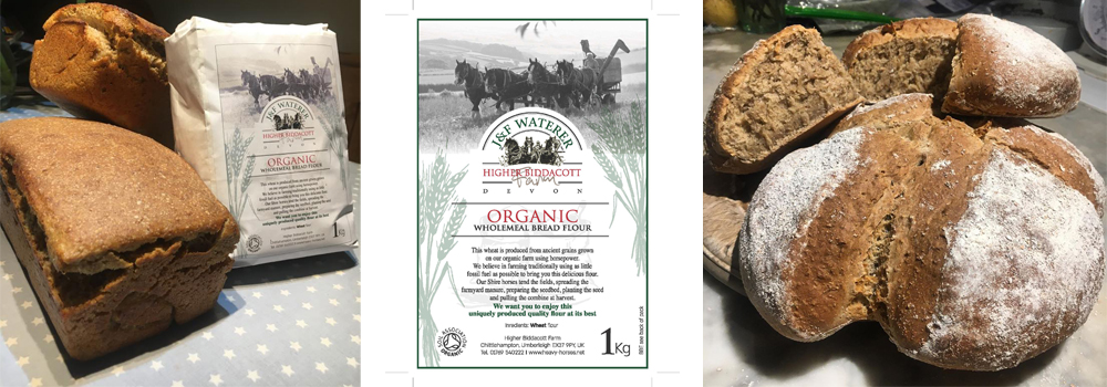 Flour by Horse Power is our homemade flour that is made with the help of our heavey horses here at Higher Biddacott Farm.