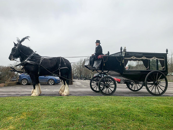 At Waterers Working Horses you can expect a high-quality funeral service.