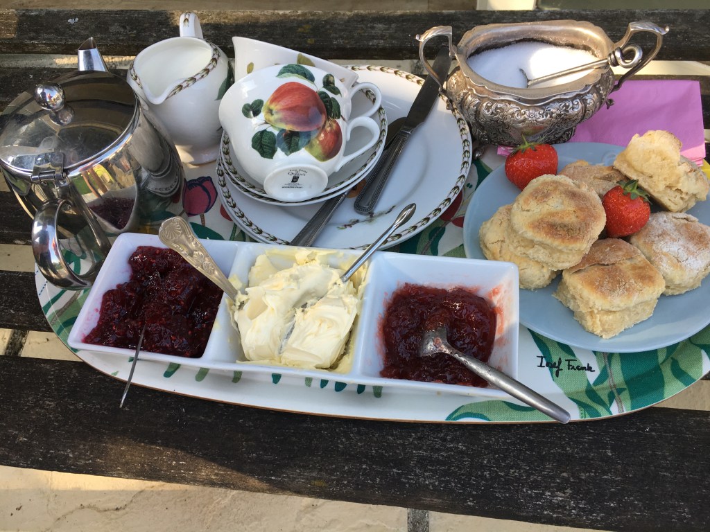 Enjoy a delicious cream tea while relaxing in the garden at Higher Biddacott Farm.